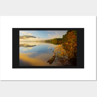 Morning at loch Garten, Scotland Posters and Art